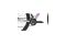 Cannondale Trail Women's SL 4 - 29 Zoll - Diamant - Aktion