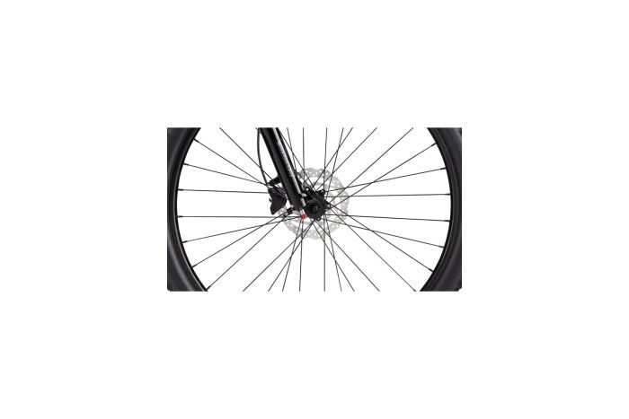 Cannondale Trail Women's SL 4 - 29 Zoll - Diamant - Aktion