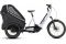 Cube Trike Hybrid Family 750 - 750 Wh - 24 Zoll - 2025