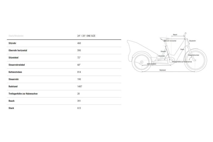 Cube Trike Hybrid Family 750 - 750 Wh - 24 Zoll - 2025
