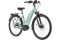 Carver Cityzen E.430 FL - 500 Wh - 28 Zoll - Tiefeinsteiger - 2024