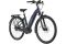 Carver Cityzen E.420 FL - 500 Wh - 28 Zoll - Tiefeinsteiger - 2024