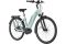 Carver Cityzen E.420 FL - 500 Wh - 28 Zoll - Tiefeinsteiger - 2024
