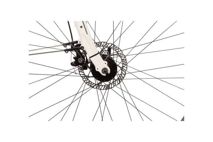 Lakes Free 100 - 28 Zoll - Damen Sport - 2024