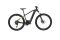 Carver Strict E.510 - 500 Wh - 29 Zoll - Diamant