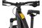 Carver Strict E.510 - 500 Wh - 29 Zoll - Diamant
