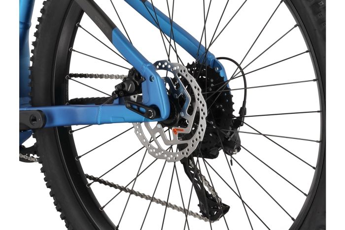 Carver Strict E.510 - 500 Wh - 29 Zoll - Diamant