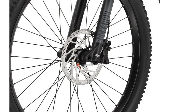 Carver Strict E.540 - 625 Wh - 29 Zoll - Diamant