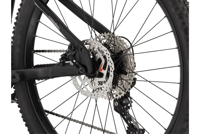 Carver Strict E.560 - 750 Wh - 29 Zoll - Diamant