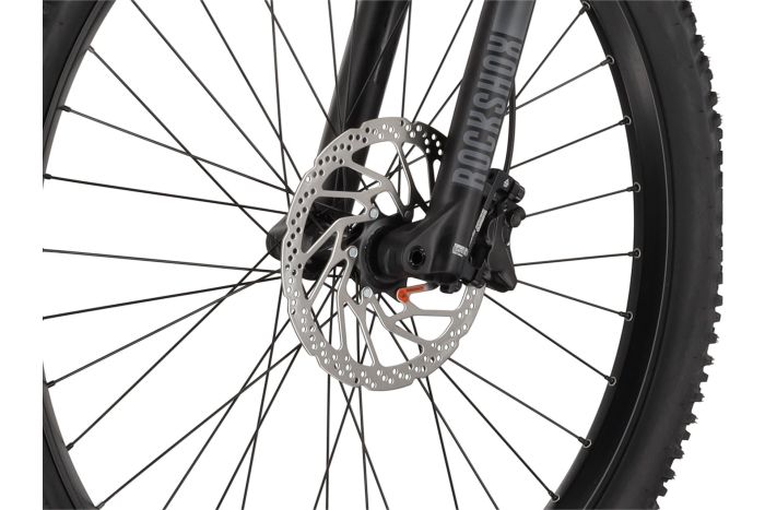 Carver Strict E.560 - 750 Wh - 29 Zoll - Diamant