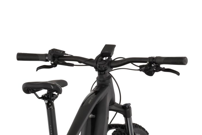 Carver Strict E.560 - 750 Wh - 29 Zoll - Diamant