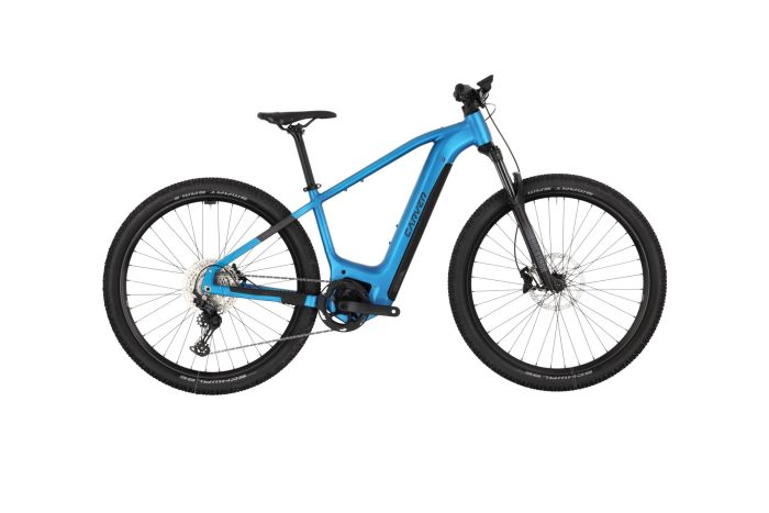 Carver Strict E.560 - 750 Wh - 29 Zoll - Diamant