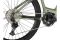 Carver Strict E.560 - 750 Wh - 29 Zoll - Diamant