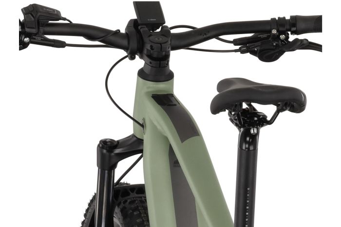 Carver Strict E.560 - 750 Wh - 29 Zoll - Diamant