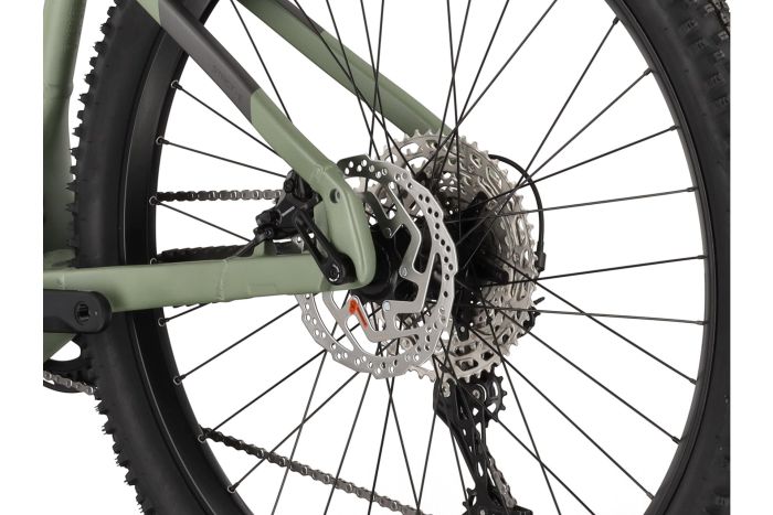 Carver Strict E.560 - 750 Wh - 29 Zoll - Diamant
