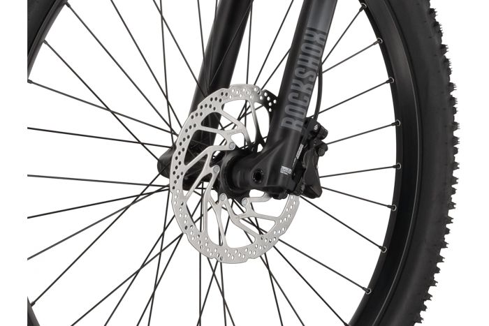 Carver Strict E.560 - 750 Wh - 29 Zoll - Diamant