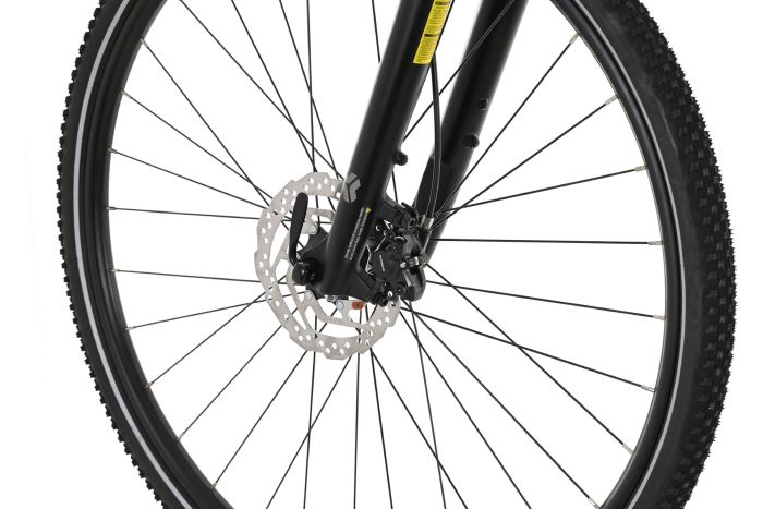 Carver Cinos 110 - 28 Zoll - Damen Sport - 2024