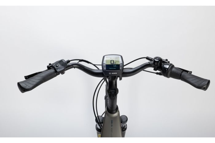 Carver Cityzen E.420 RT - 500 Wh - 28 Zoll - Tiefeinsteiger - Aktion