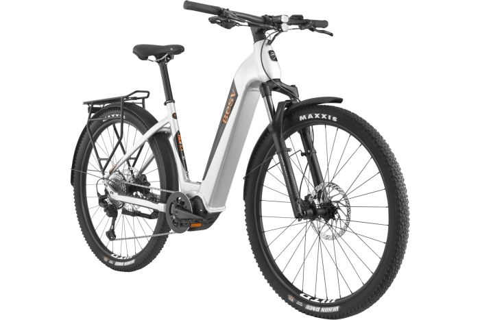 BESV TRX Urban 1.1 LS - 720 Wh - 29 Zoll - Tiefeinsteiger - Aktion