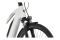 Carver Tour E.420 - 545 Wh - 28 Zoll - Damen Sport - 2025