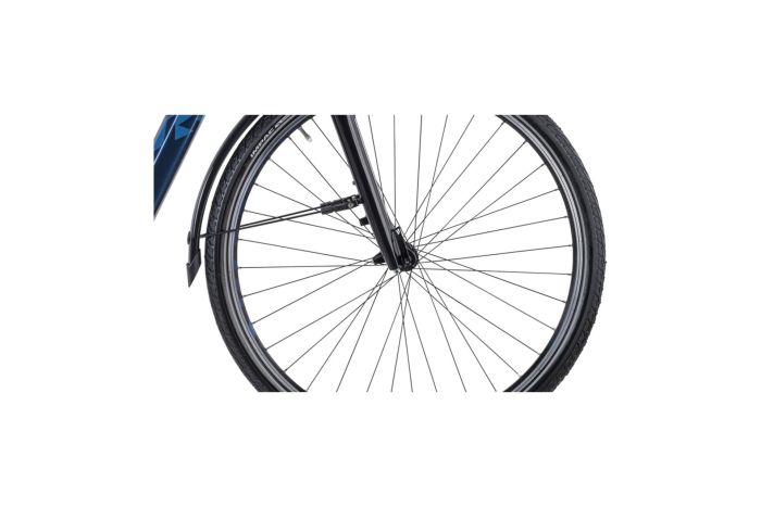 Raymon CityRay E 2.0 CB - 500 Wh - 28 Zoll - Tiefeinsteiger - 2024