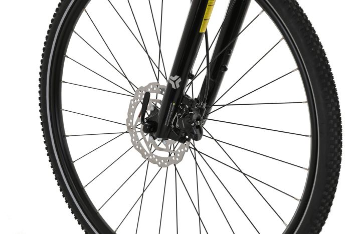 Carver Cinos 120 - 28 Zoll - Damen Sport - 2024
