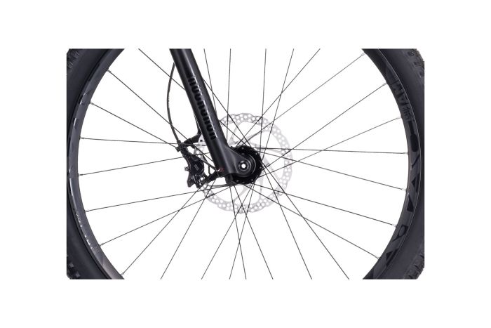 Cube Access WS C:62 Pro - 29 Zoll - Diamant - 2023