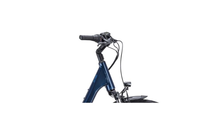 Raymon CityRay E 2.0 CB - 500 Wh - 28 Zoll - Tiefeinsteiger - 2024